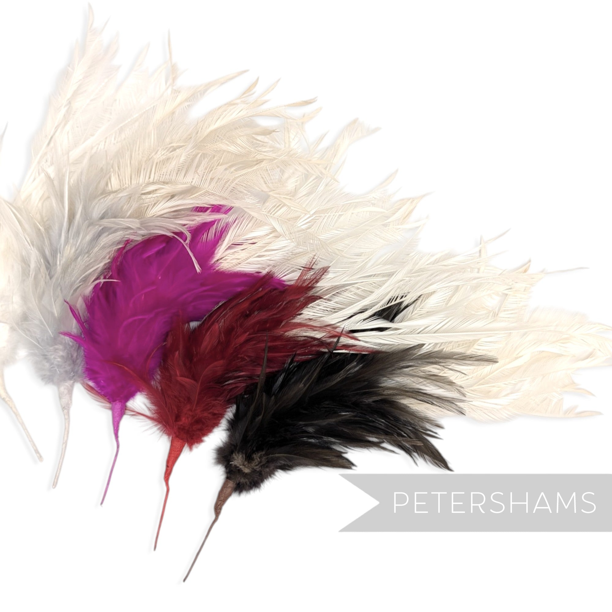 Large Zippered Goose Biot and Hackle Feather Hat Mount