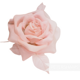 'Brianna' Silk 12cm Rose Millinery Fascinator Flower Hat Mount