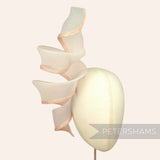 88cm Long Shapeable Crin and Sinamay Wired Hat Trim