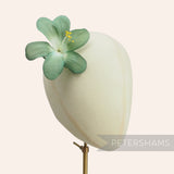 'Patricia' Vintage German Silk 1960/70's Forest Lily Flower