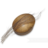 Extra Burnt & Dyed Peacock Swords - Pack of 5