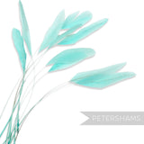 Long Loose Stripped Coque Feathers - Pack of 10