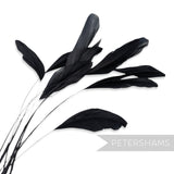 Long Loose Stripped Coque Feathers - Pack of 10