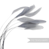Long Loose Stripped Coque Feathers - Pack of 10