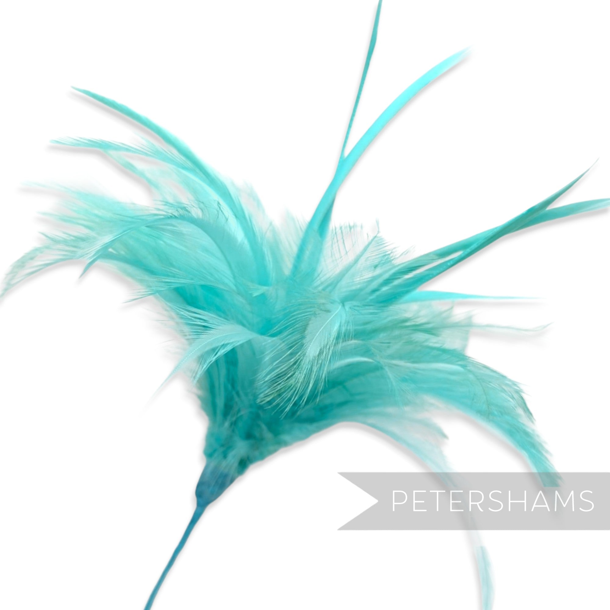 Fluffy Hackle & Goose Biot Feather Mount