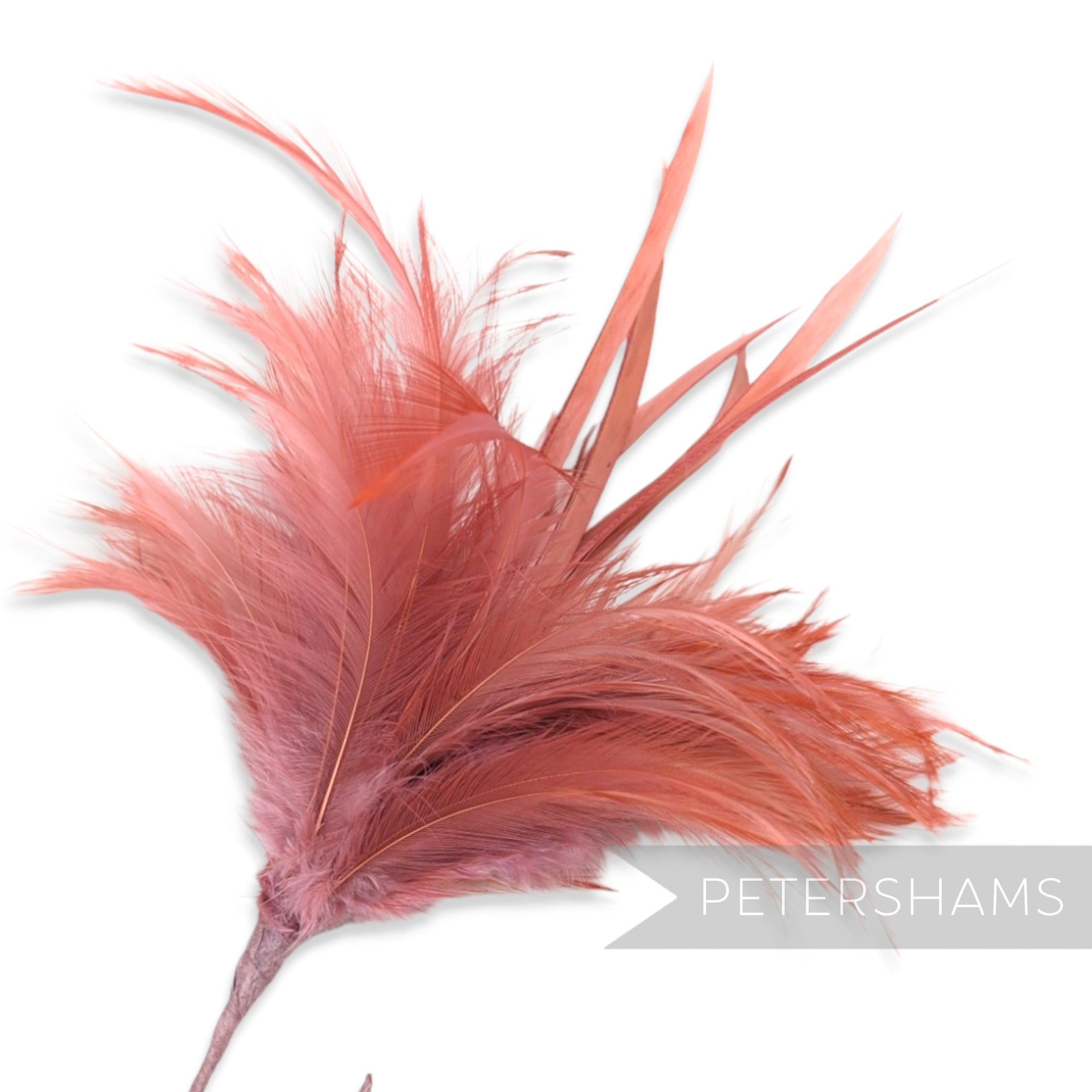 Fluffy Hackle & Goose Biot Feather Mount