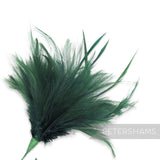 Fluffy Hackle & Goose Biot Feather Mount