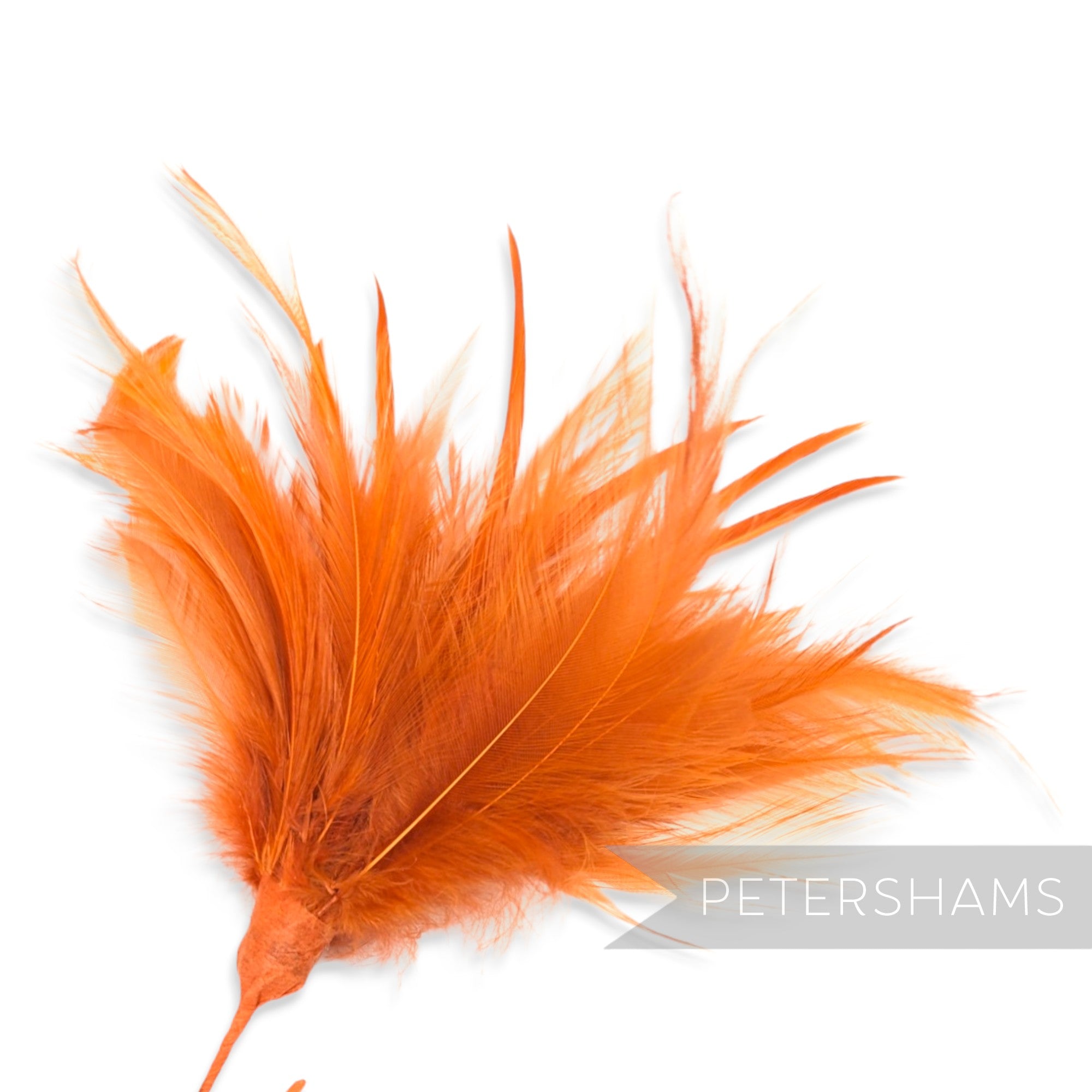 Fluffy Hackle & Goose Biot Feather Mount