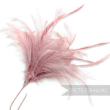 Fluffy Hackle & Goose Biot Feather Mount