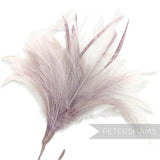Fluffy Hackle & Goose Biot Feather Mount