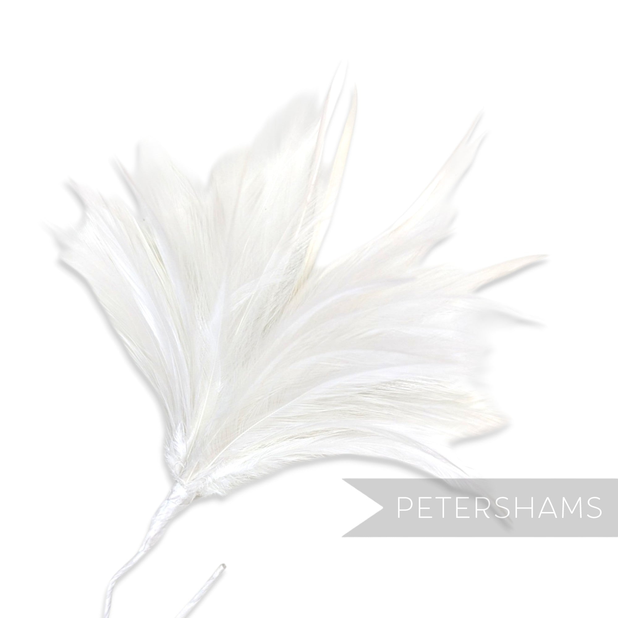 Fluffy Hackle & Goose Biot Feather Mount