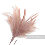 Fluffy Hackle & Goose Biot Feather Mount