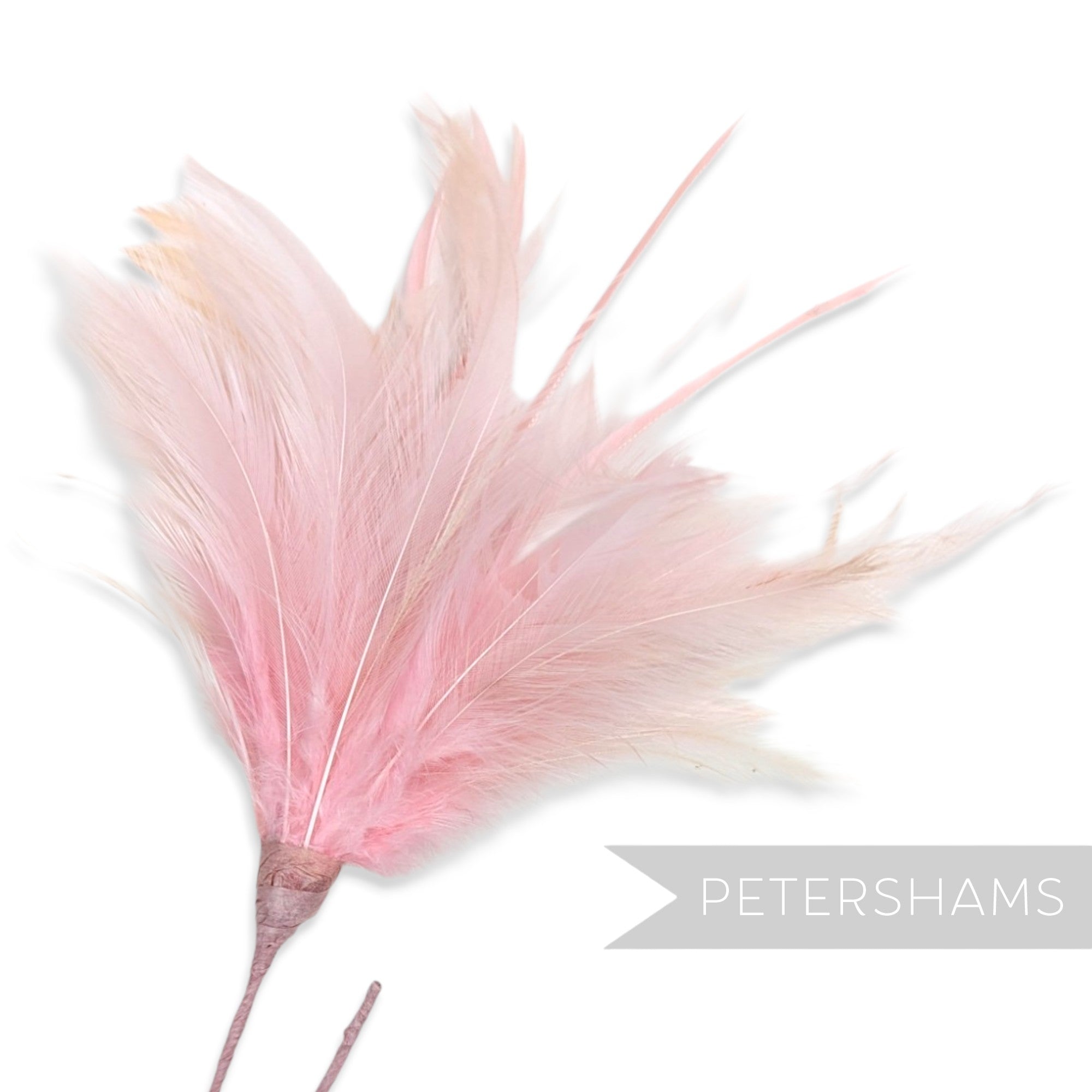 Fluffy Hackle & Goose Biot Feather Mount