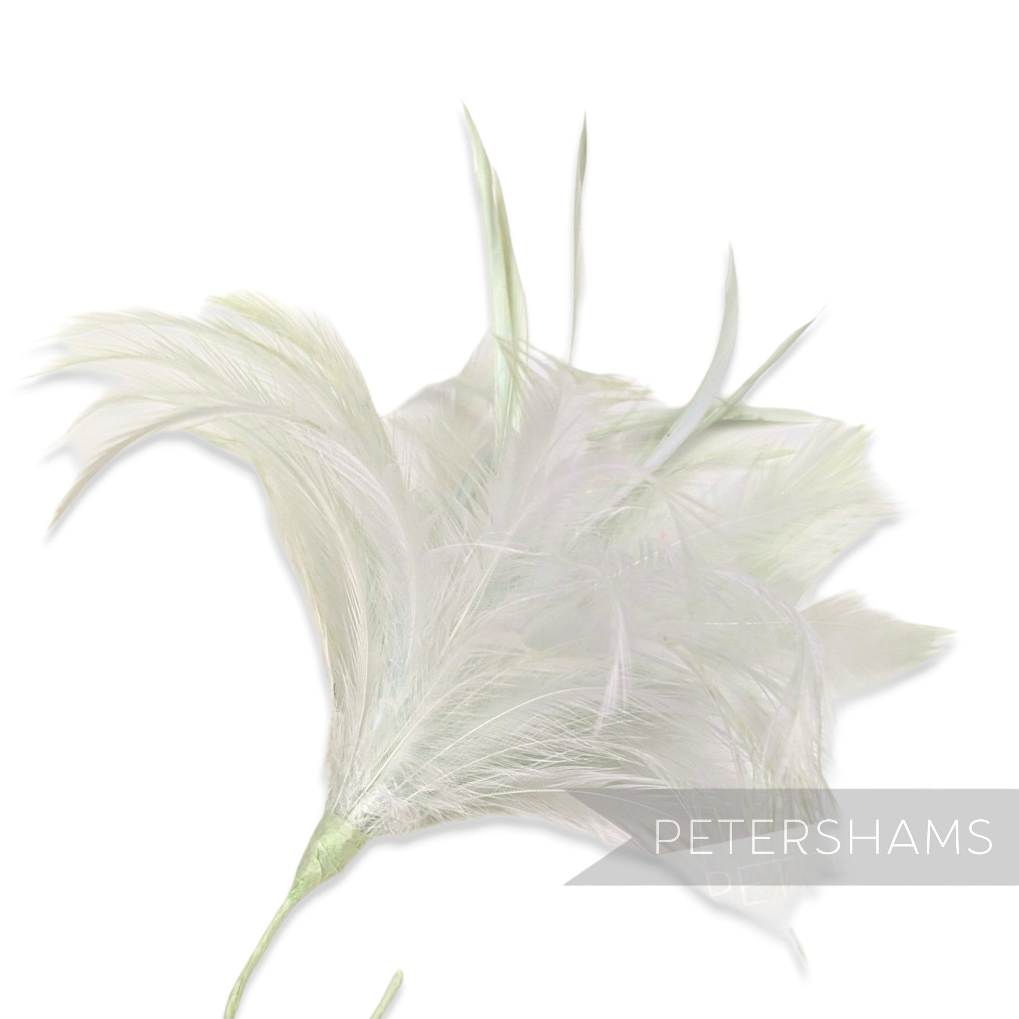 Fluffy Hackle & Goose Biot Feather Mount