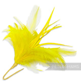 Fluffy Hackle & Goose Biot Feather Mount