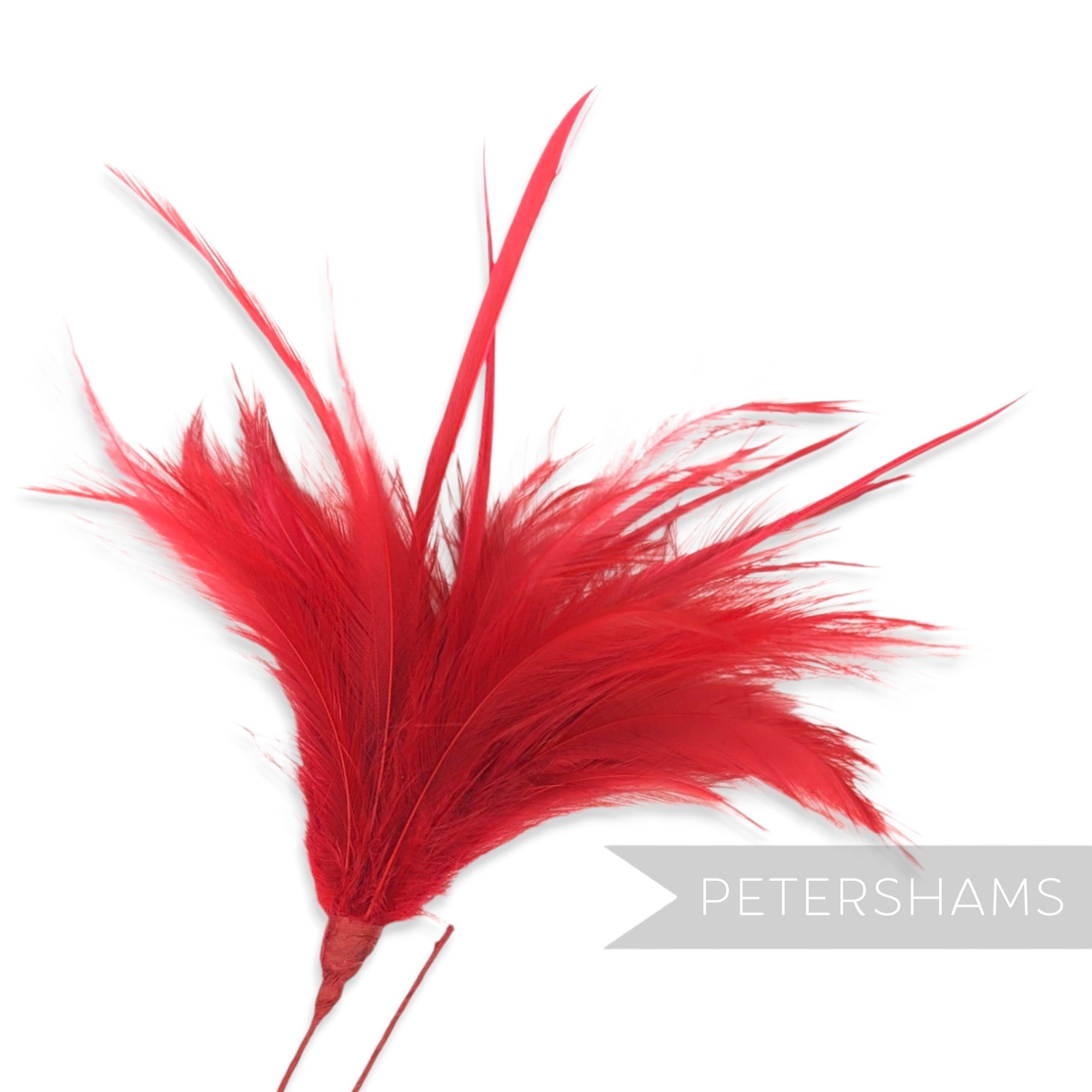 Fluffy Hackle & Goose Biot Feather Mount