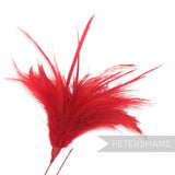 Fluffy Hackle & Goose Biot Feather Mount