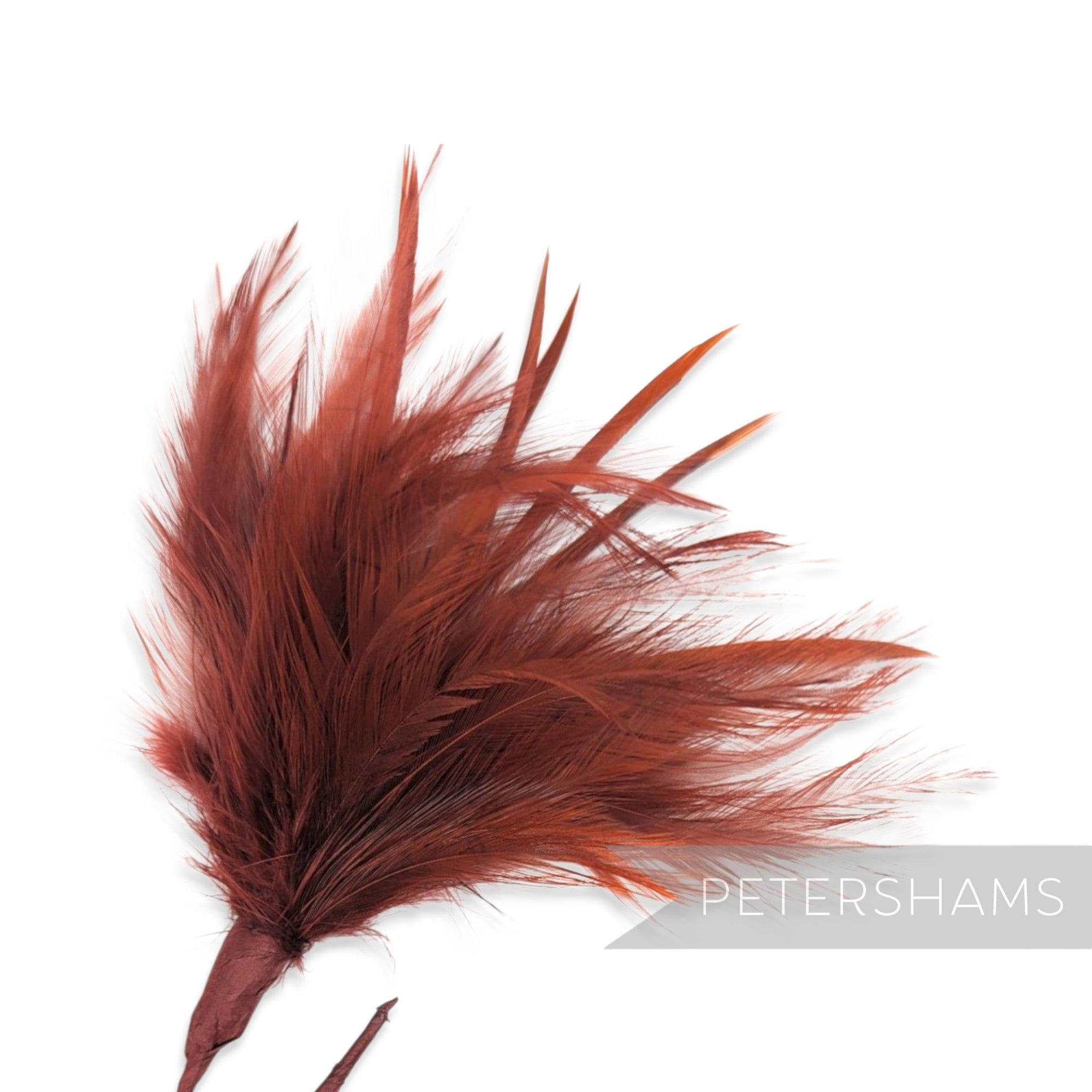 Fluffy Hackle & Goose Biot Feather Mount