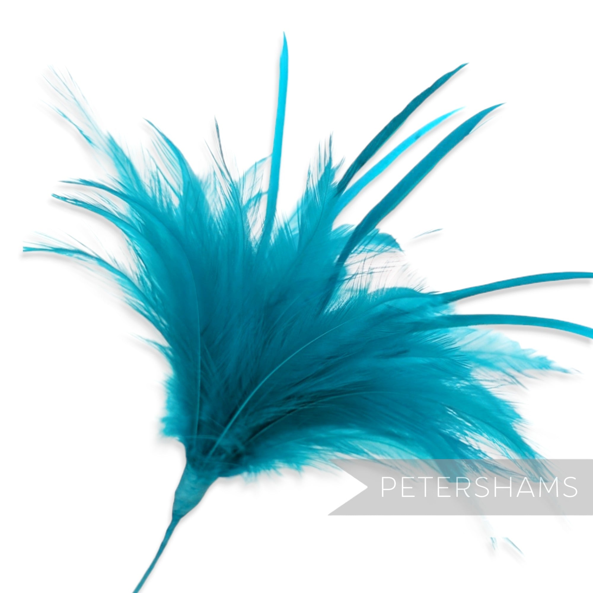 Fluffy Hackle & Goose Biot Feather Mount