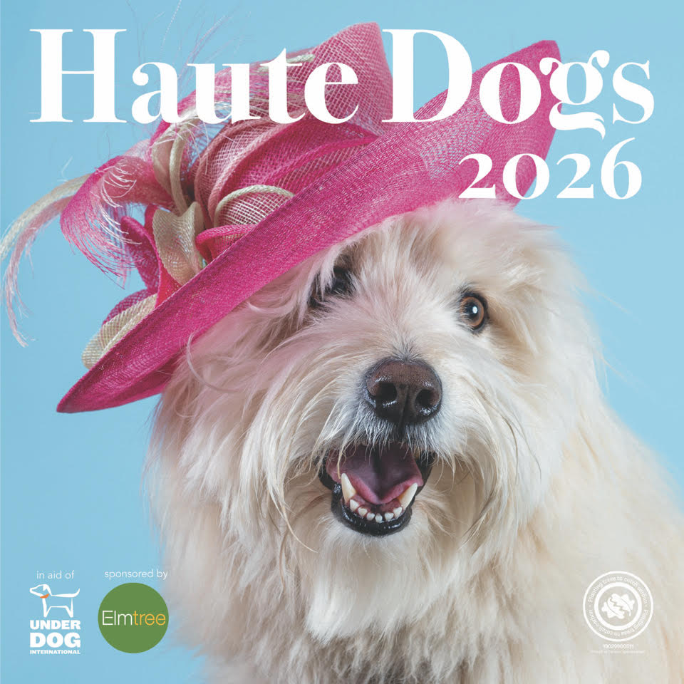 Haute Dogs 2026 Calendar X Under Dog International Charity