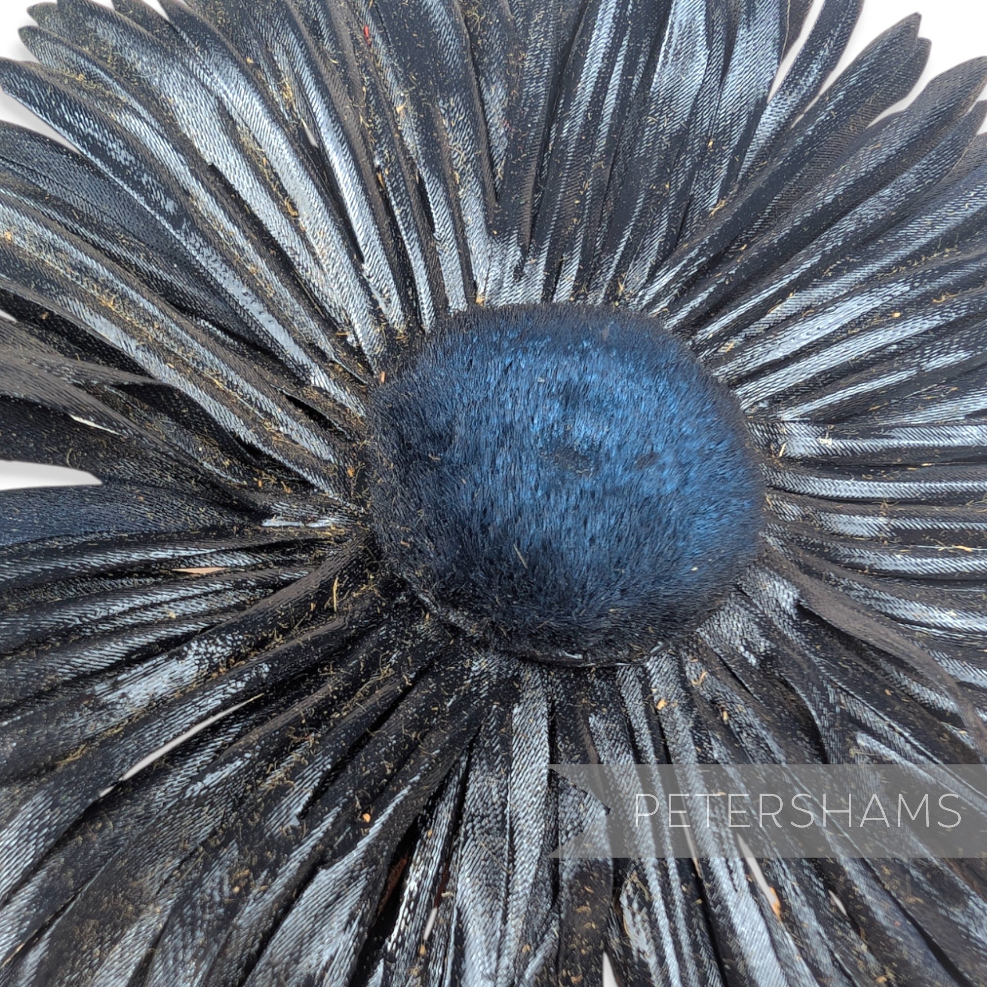 'Aisling' Vintage 1940's Waxed German Daisy Millinery Hat Mount