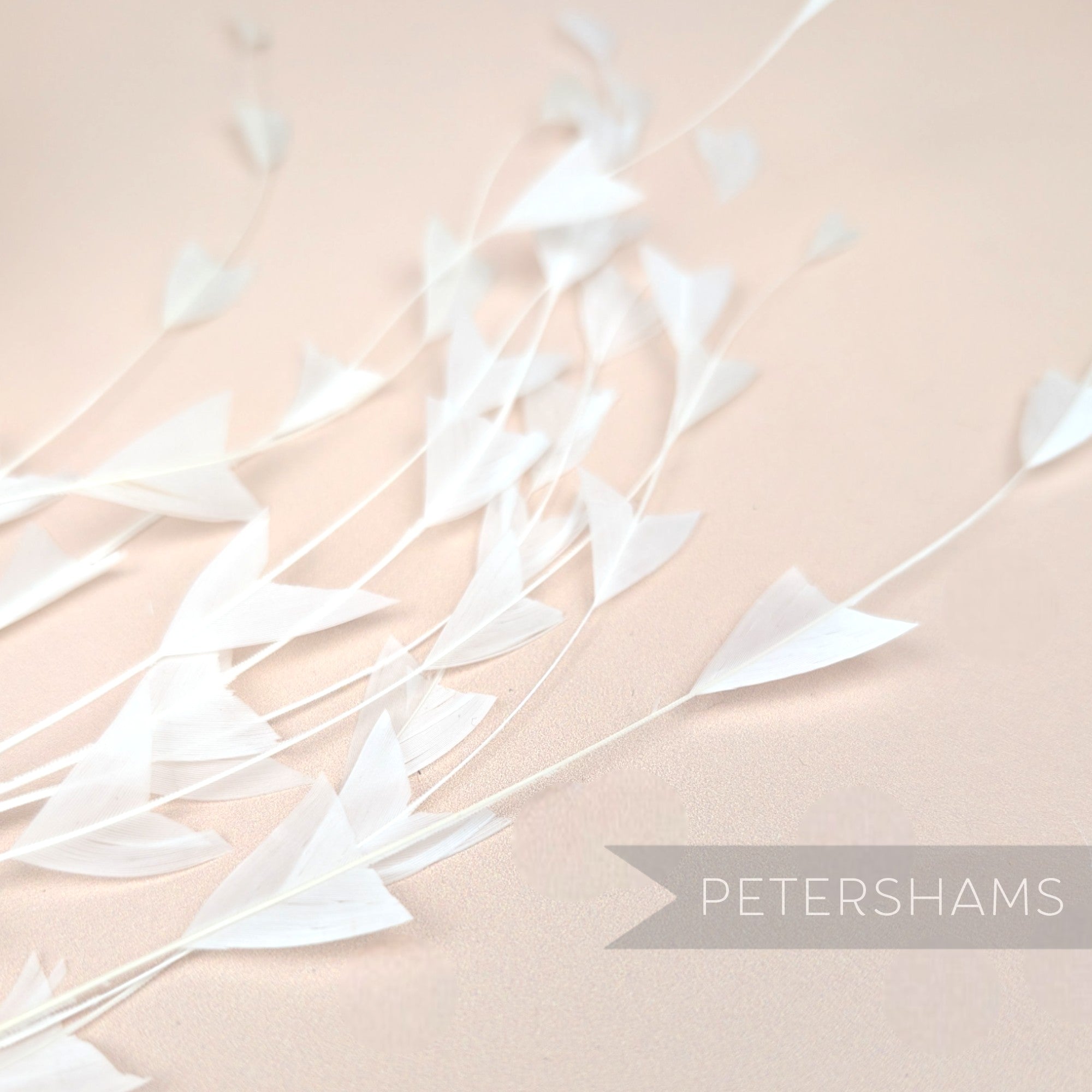 'V' Shaped Stripped Coque Feathers - Pack of 10