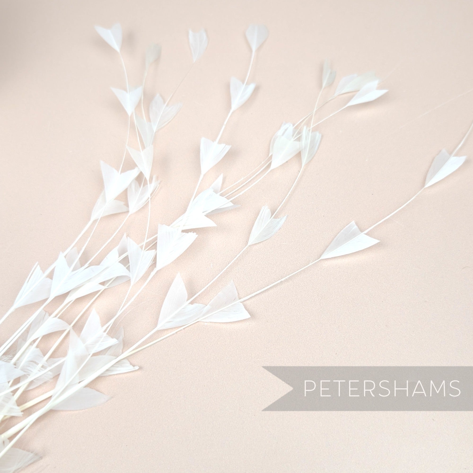 'V' Shaped Stripped Coque Feathers - Pack of 10