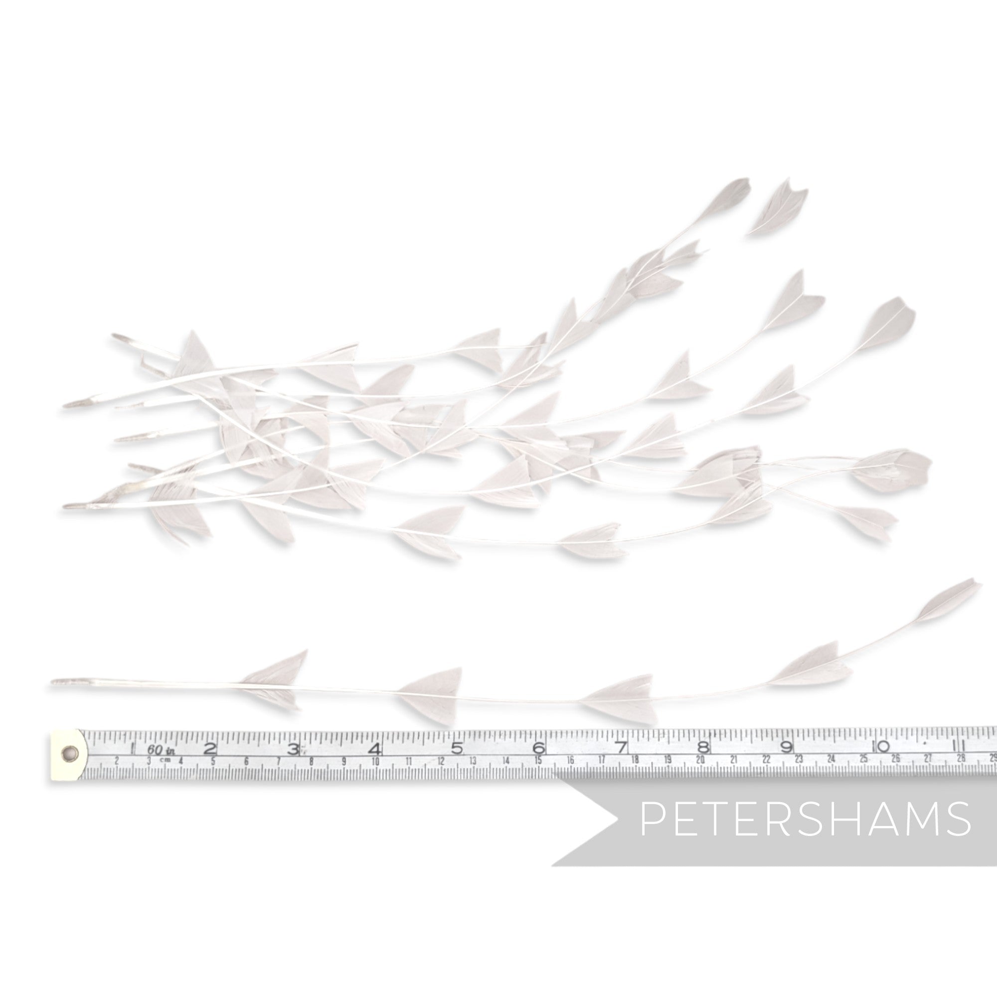 'V' Shaped Stripped Coque Feathers - Pack of 10