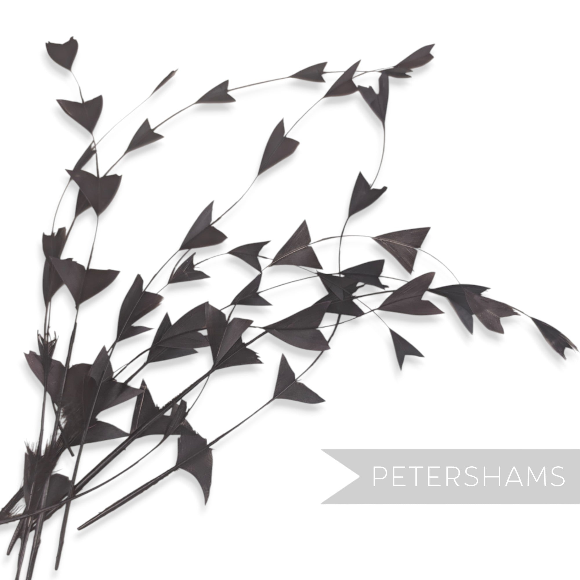 'V' Shaped Stripped Coque Feathers - Pack of 10