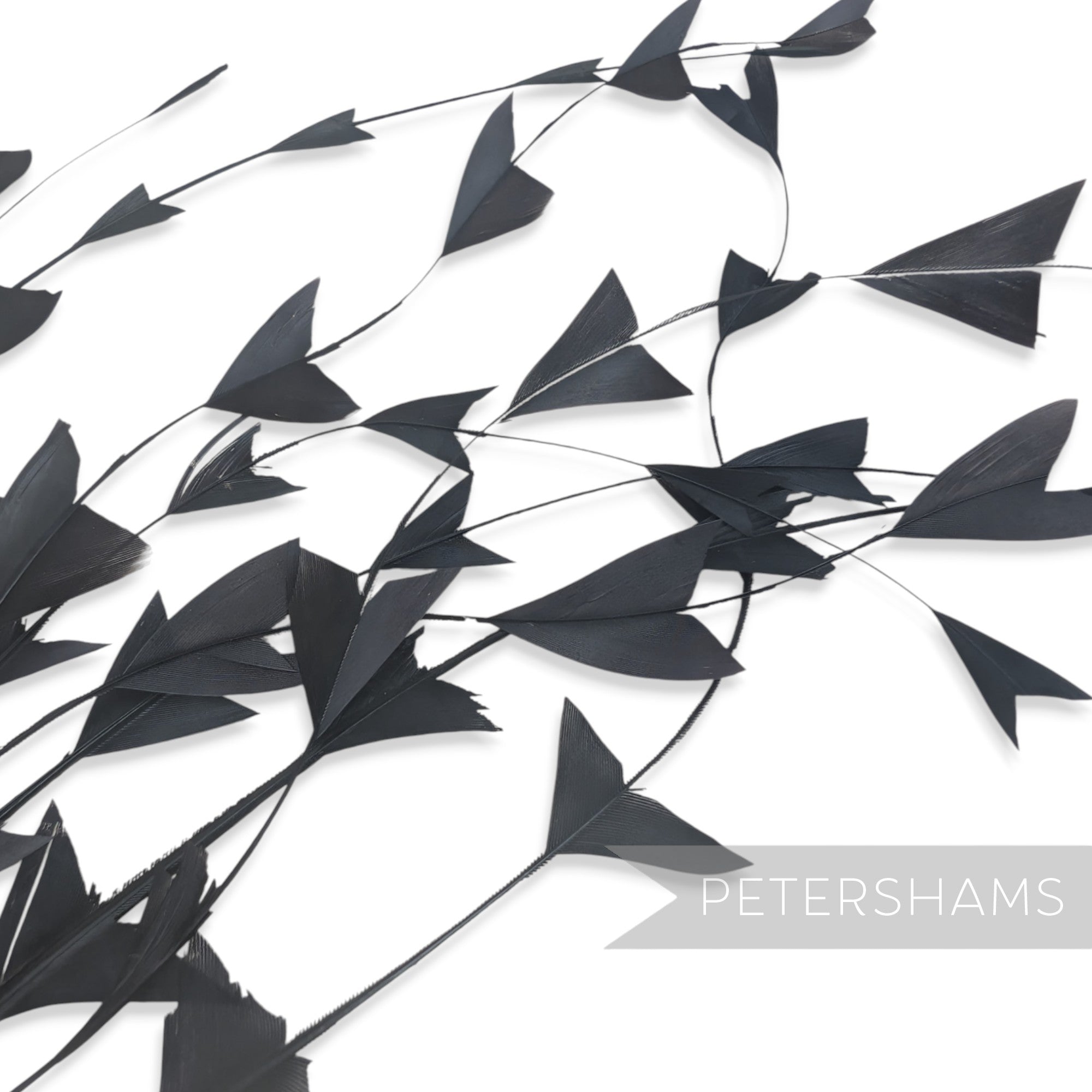 'V' Shaped Stripped Coque Feathers - Pack of 10