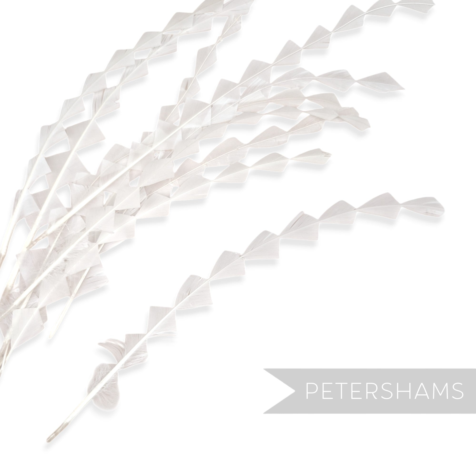 Chunky Zig Zag Coque Feathers - Pack of 10