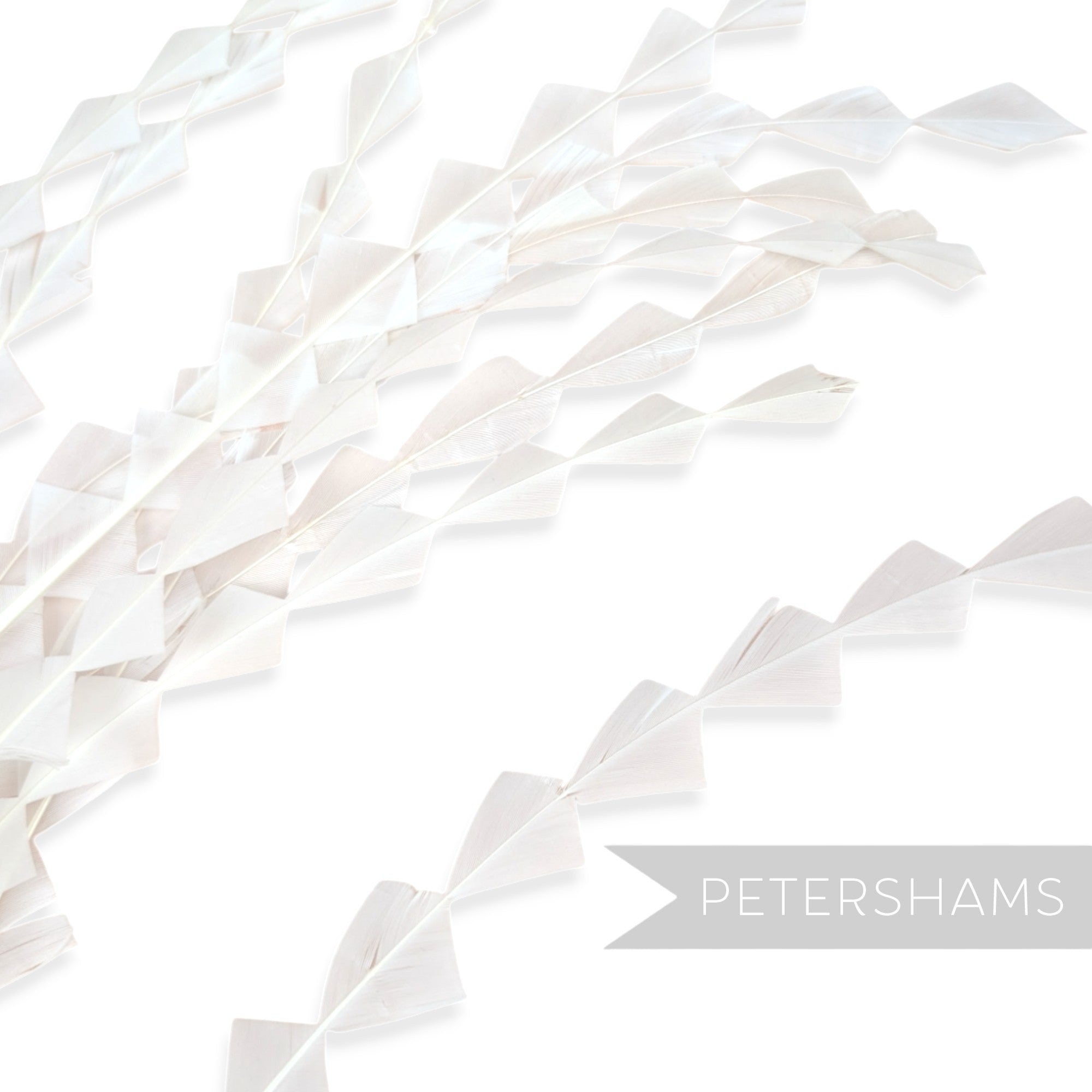 Chunky Zig Zag Coque Feathers - Pack of 10