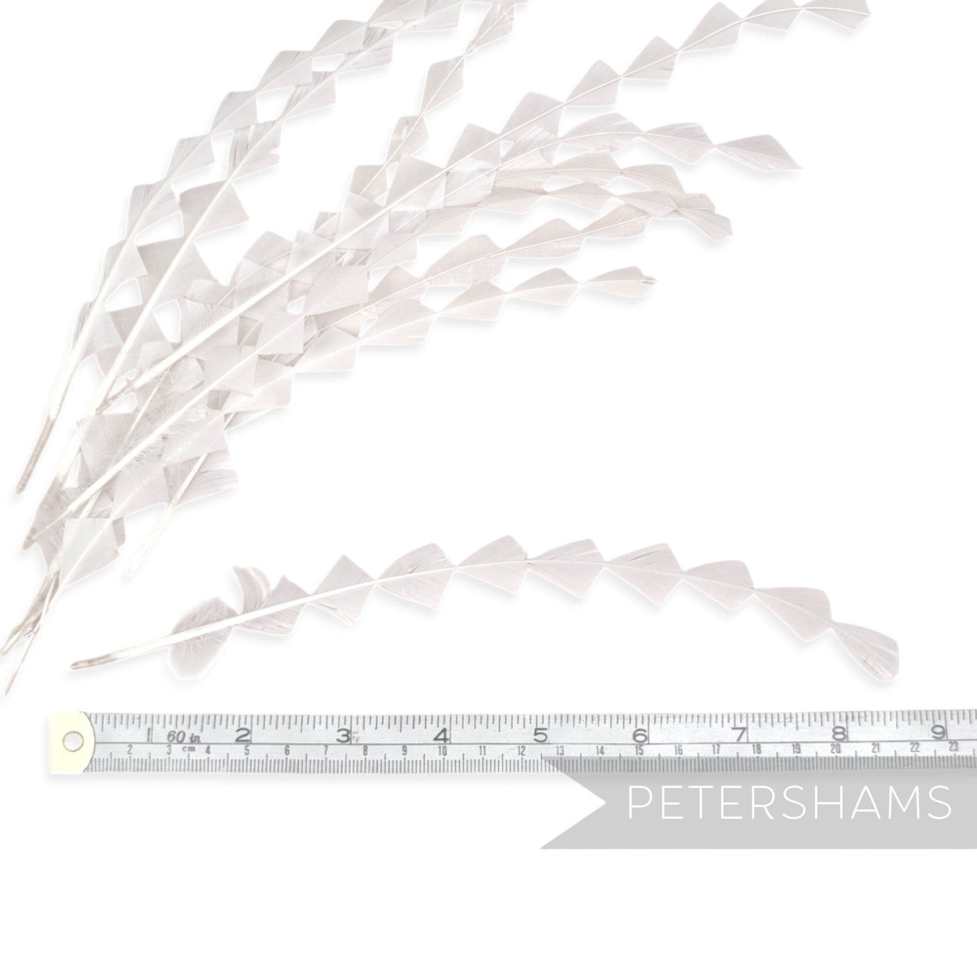 Chunky Zig Zag Coque Feathers - Pack of 10