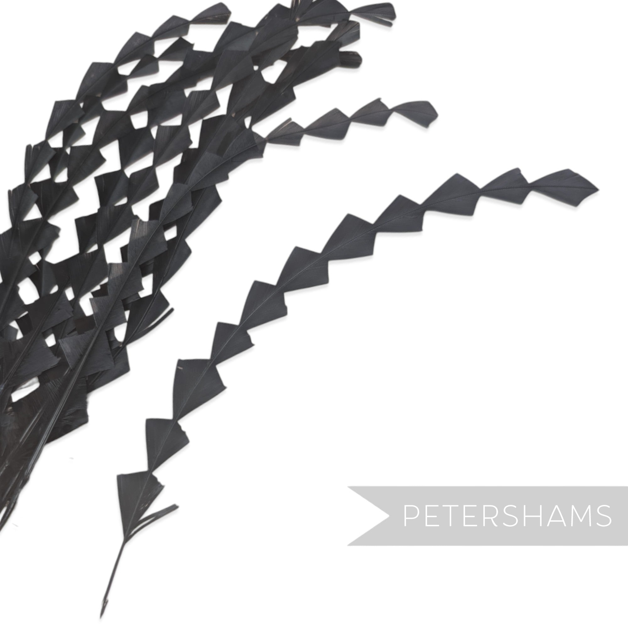 Chunky Zig Zag Coque Feathers - Pack of 10