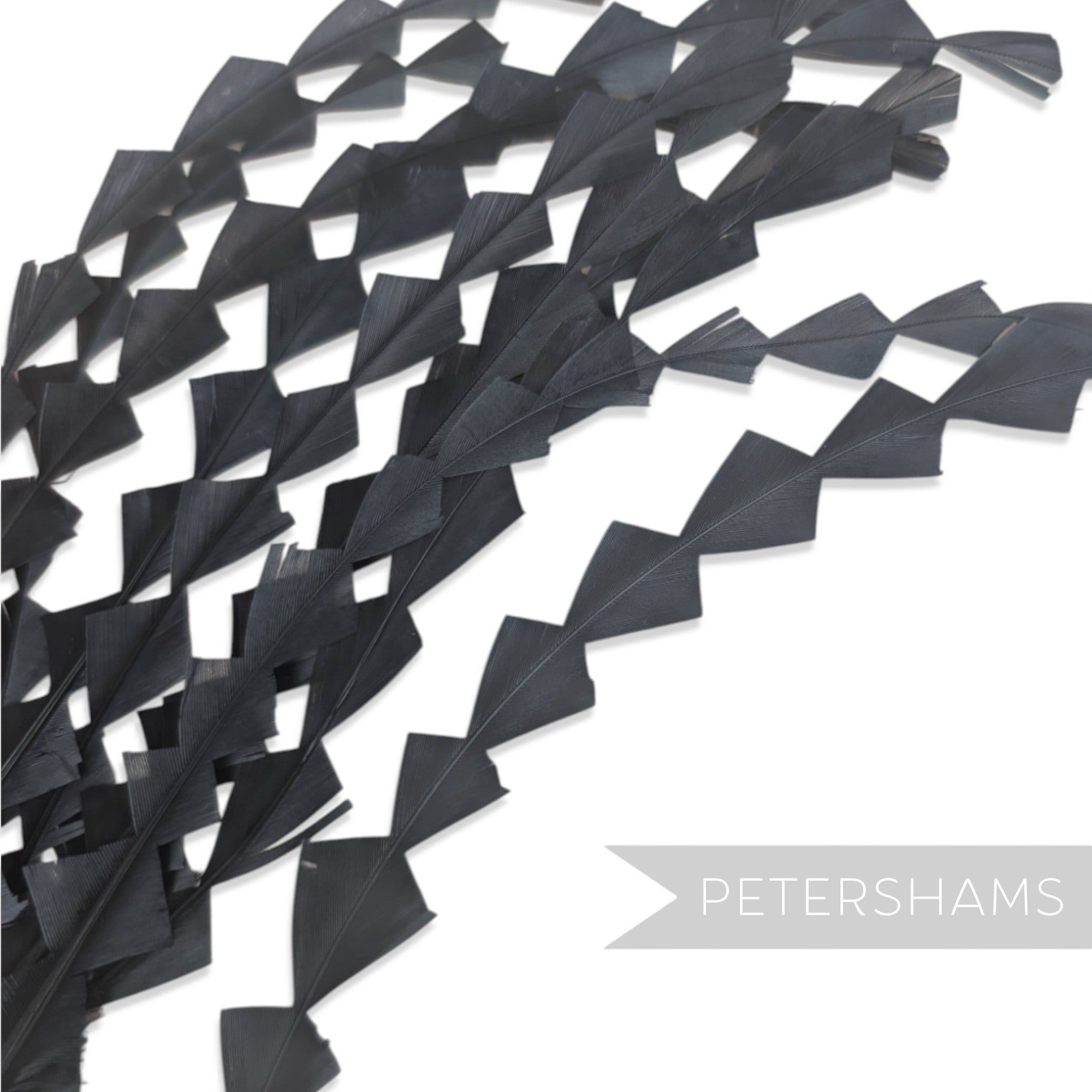 Chunky Zig Zag Coque Feathers - Pack of 10