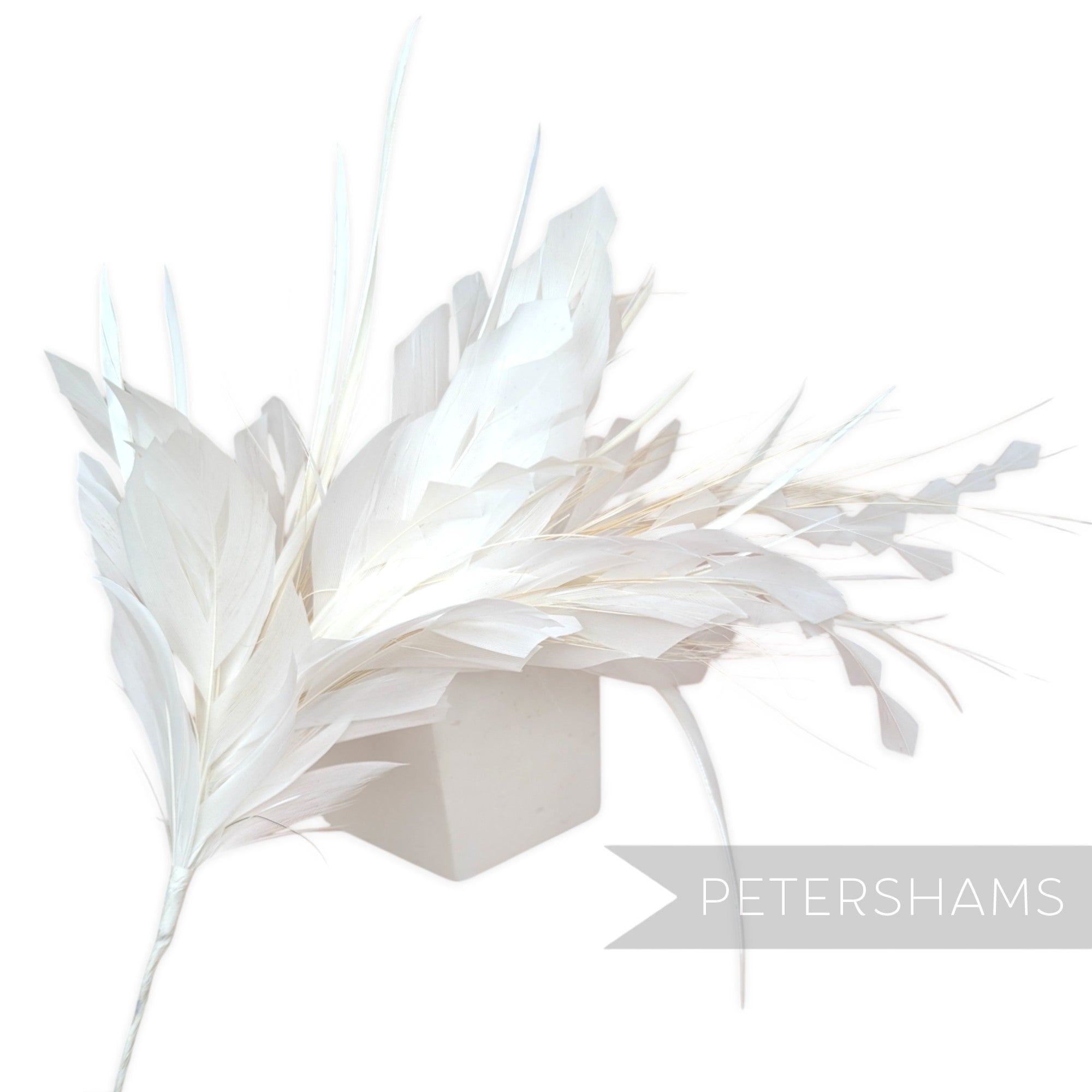 Ivory Stagger Cut Nagorie, Biot and Peacock Hurl Feather Hat Mount