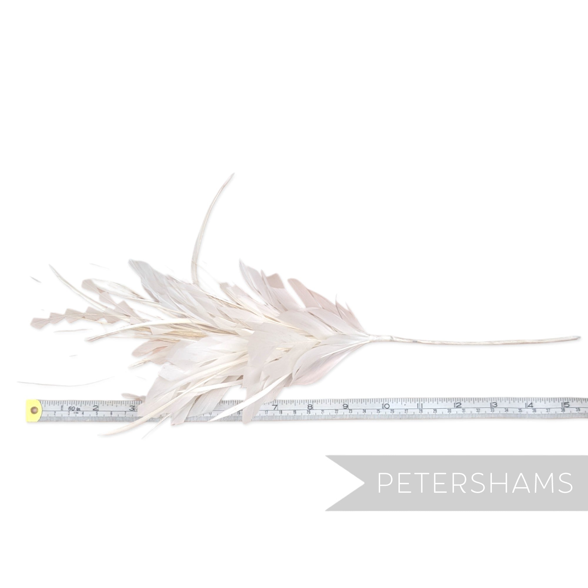 Ivory Stagger Cut Nagorie, Biot and Peacock Hurl Feather Hat Mount