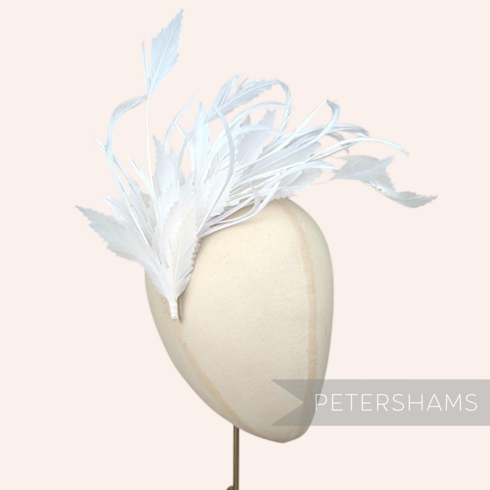Biot, Coque and Zig Zag Goose Feather Hat Mount