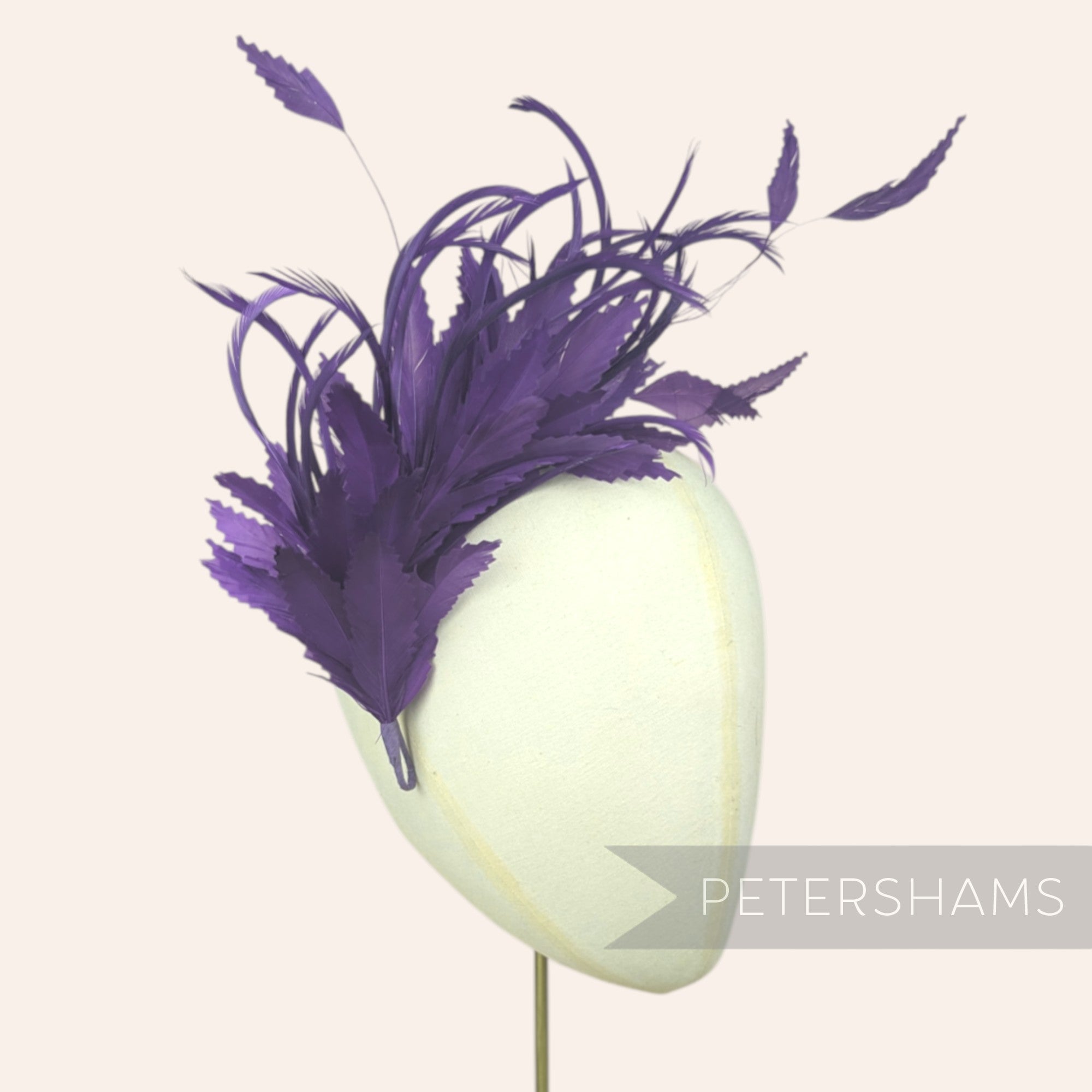 Biot, Coque and Zig Zag Goose Feather Hat Mount