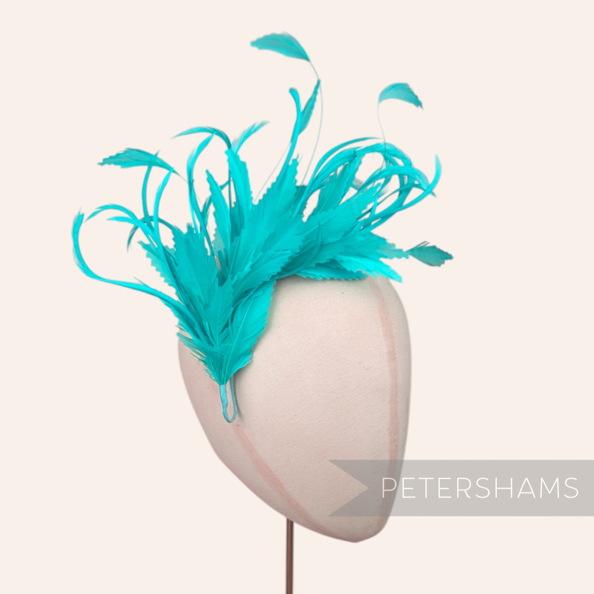 Biot, Coque and Zig Zag Goose Feather Hat Mount