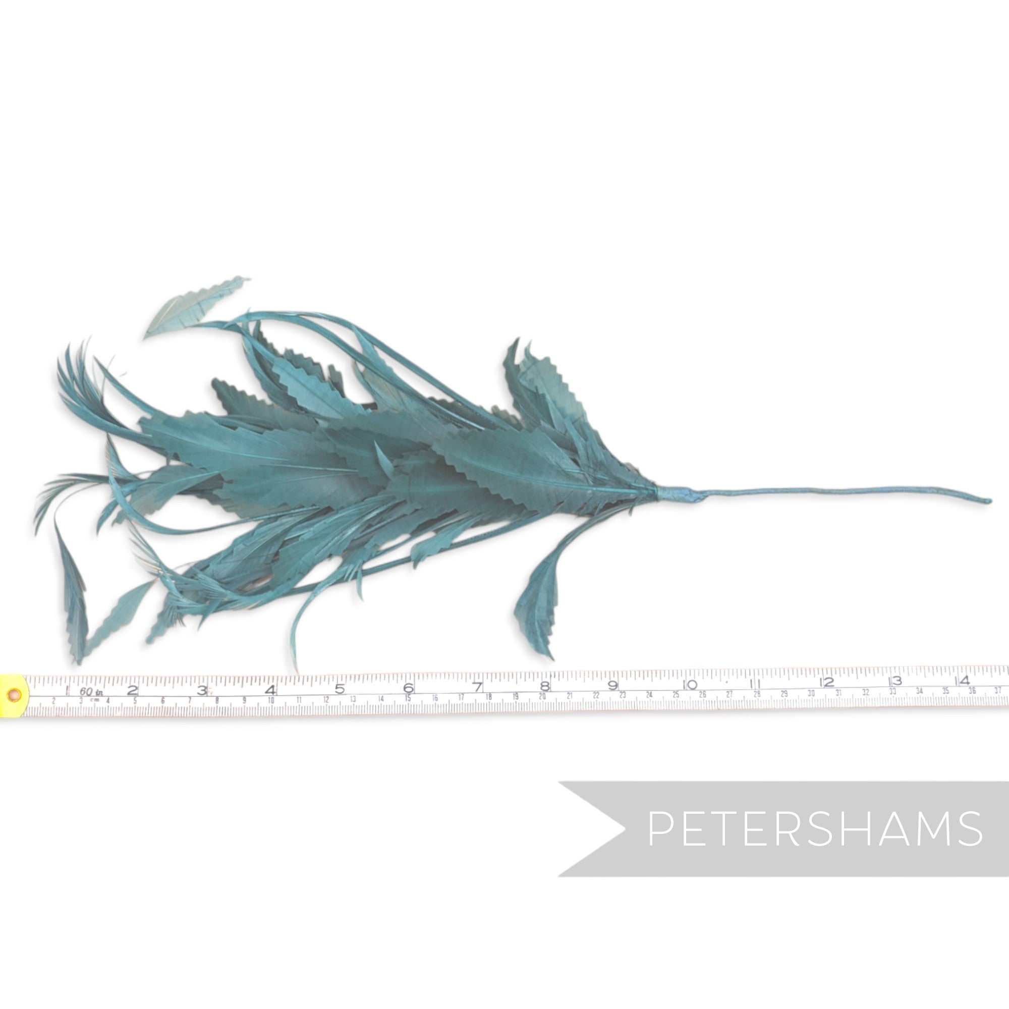 Biot, Coque and Zig Zag Goose Feather Hat Mount