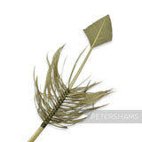 Barbed Arrowhead Turkey Quill Feather