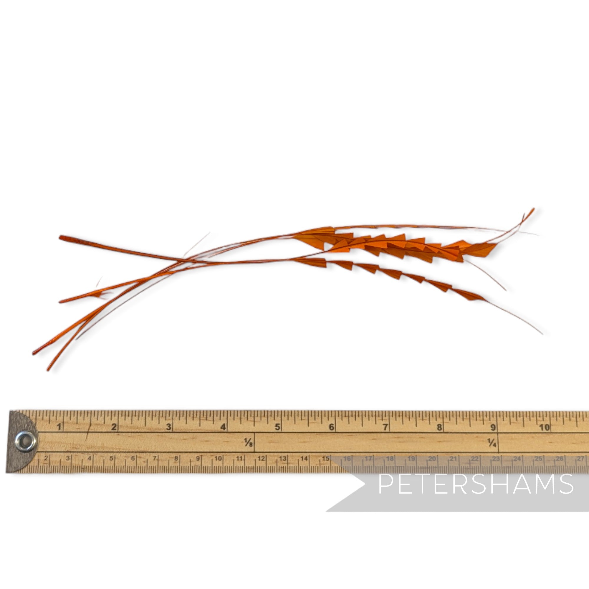 Zig Zag Coque Feathers - Pack of 5