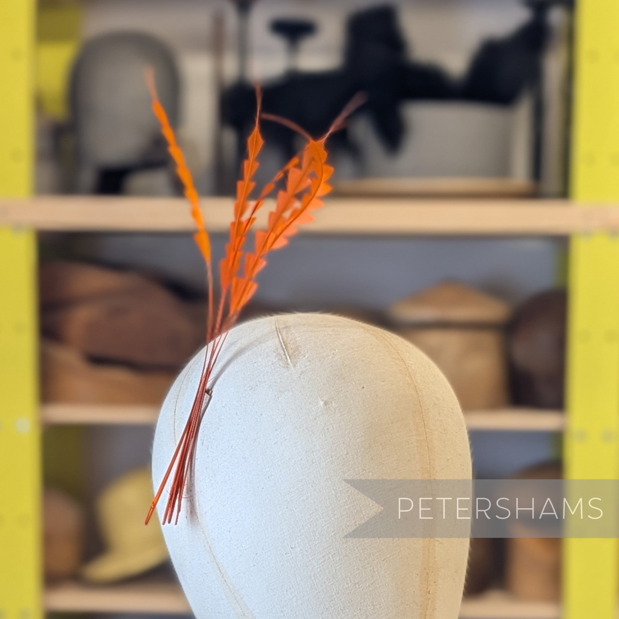 Zig Zag Coque Feathers - Pack of 5