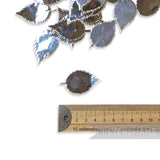 Metallic Gold Foil Paper Rose Leaves 25mm - Pack of 12