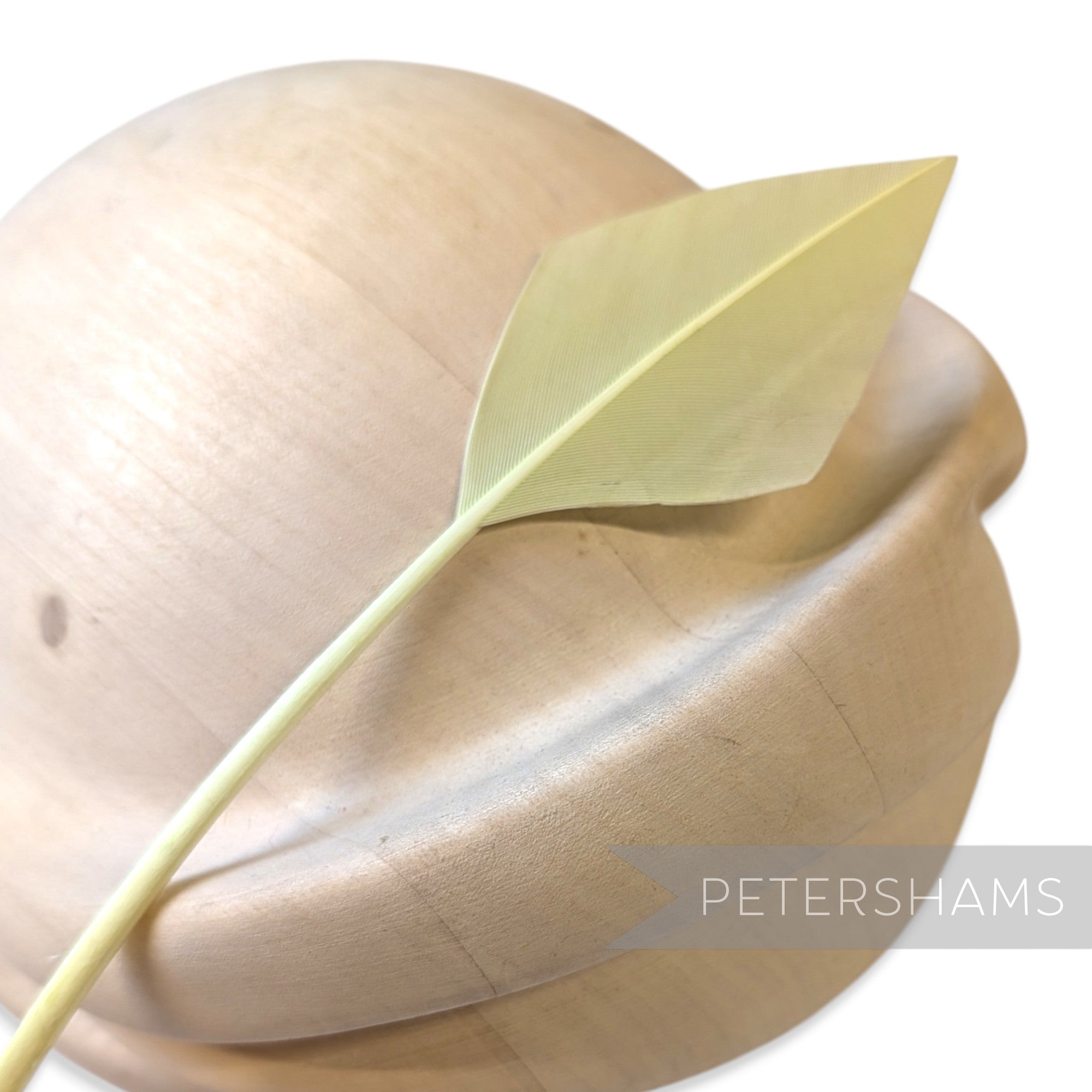 Arrowhead Turkey Quill Feather