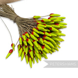 Vintage 1940/50s Extra Large Ceramic Vintage Green & Red Wired Flower Stamens