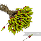 Vintage 1940/50s Extra Large Ceramic Vintage Green & Red Wired Flower Stamens