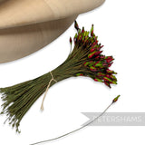 Vintage 1940/50s Wired Lacquered Green & Red Flower Stamens