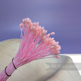 Vintage 1960/70s Fine Oval Tip Flower Stamens